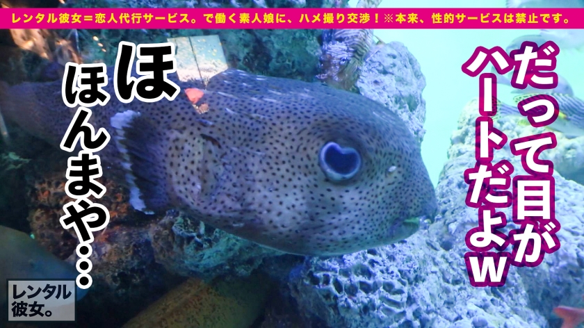サンプル画像5