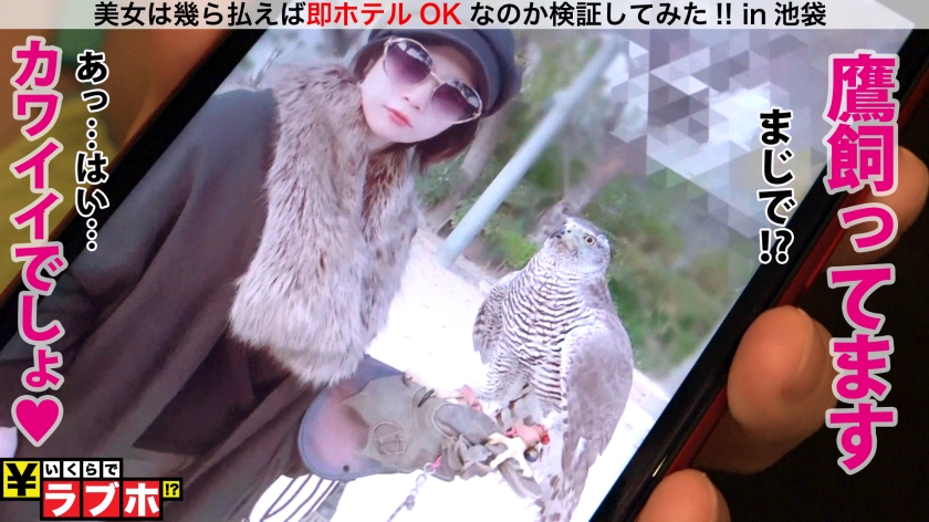 サンプル画像5