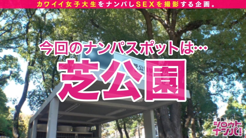 サンプル画像1