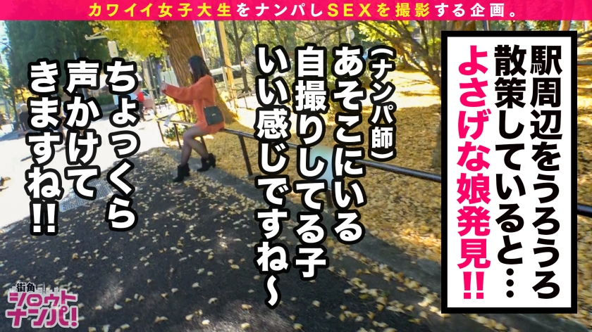 サンプル画像2