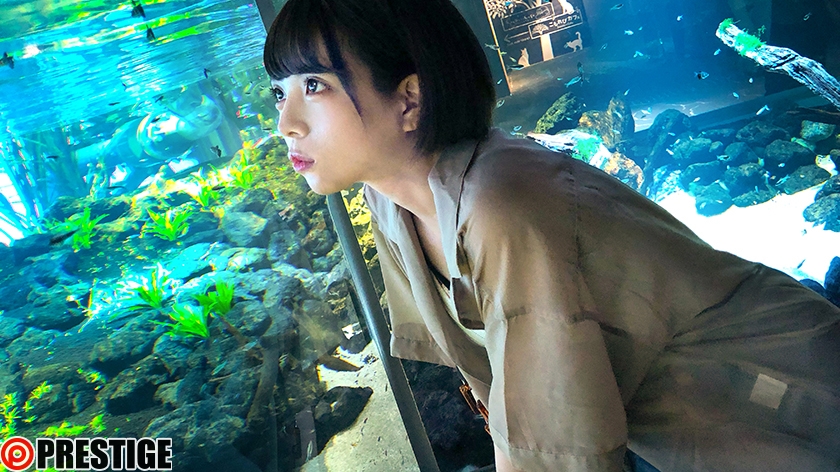 サンプル画像3